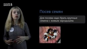 Прорастание семян. Урок 20. Биология 6 класс