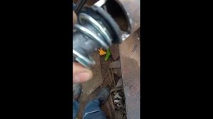 Ремонт (розборка) електро дзеркала Peugeot Partner/Citroen Berlingo 08-18