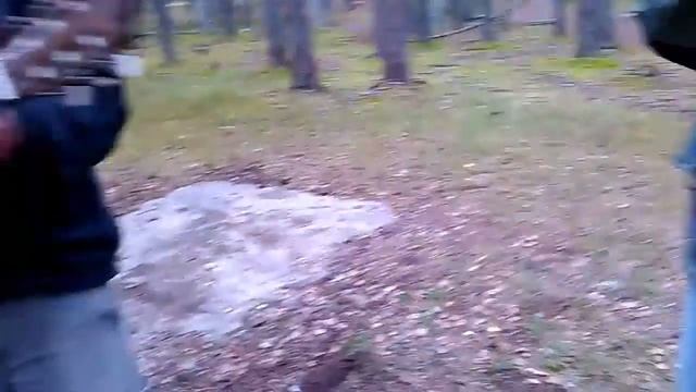 Черничник 27 августа 2017.(2) смотреть онлайн