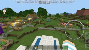 Обзор моей деревни в маинкрафте /Дашка.life /