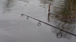 What Line And When - Carp Fishing Quickbite