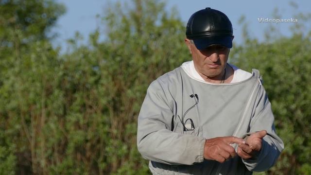 Химический язык управления пчёлами смотреть онлайн