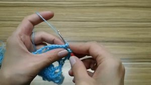 Бактус крючком