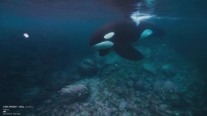 Дань уважения планете Земля