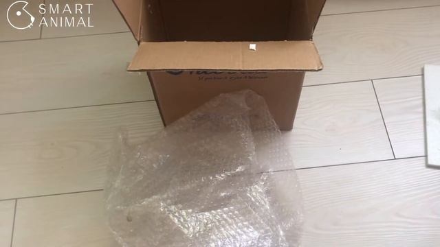 #зоотовары #боксдлякорма Бокс для корма Nicovaer смотреть онлайн