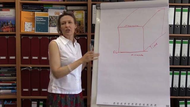 Sustainable Consumption Teaching Video Series: Doris Fuchs on "Sustainable Consumption Corridors"