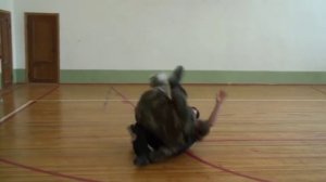 Русский Рукопашный Бой-обучение в группах