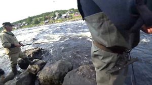 НЕЗАБЫВАЕМАЯ РЫБАЛКА НА УМБЕ С ПОДПИСЧИКАМИ ИЗ ЗАПРУДНИ