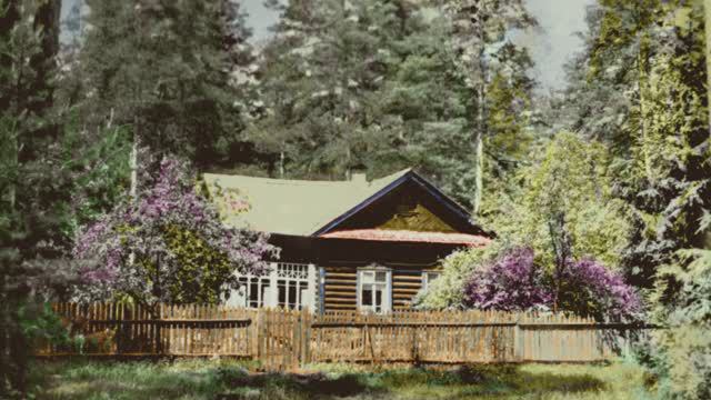 Кривандино. Родина родителей. смотреть онлайн