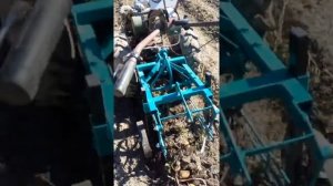 Мотоблок МТЗ-05 с чебоксарской картофелекопалкой