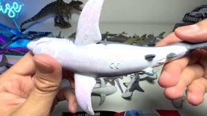 Sea Animals - Sharks, Great White Shark, Megalodon, Lemon Shark, Mako Shark, Hammerhead, Sawshark