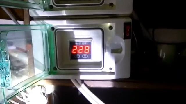 Дробная дистилляция,отбор тело,предхвостье,хвосты.(часть3)конец фильма