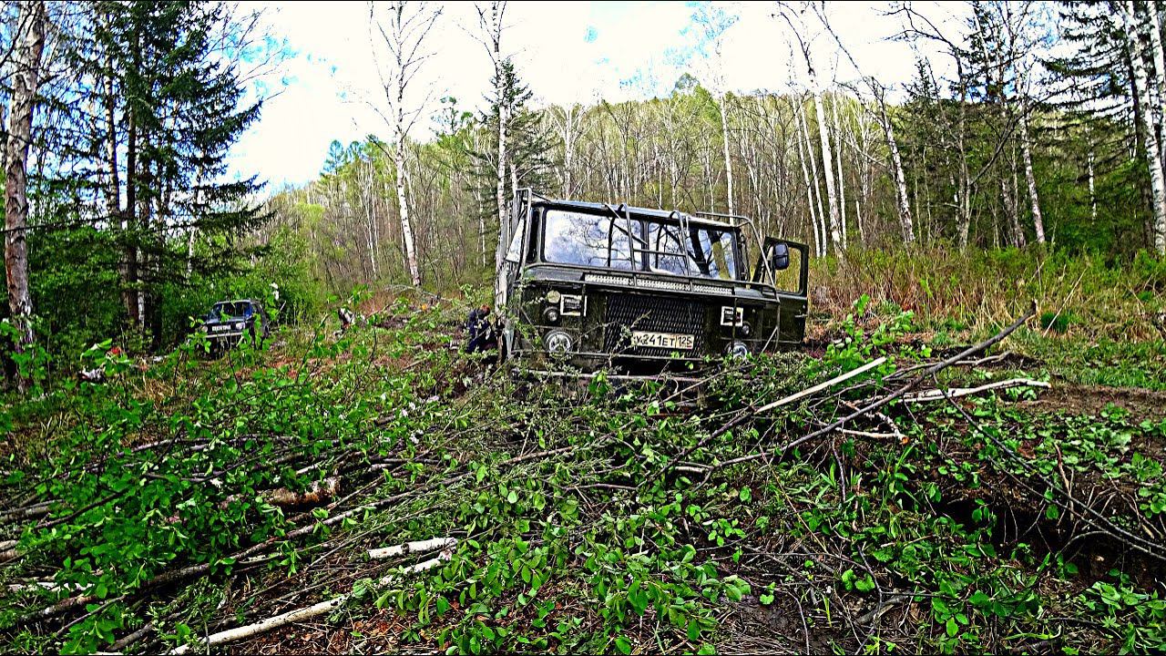 СНОВА В ТАЙГУ НА НОВЫЙ УЧАСТОК. ДЕНЬ ЗАЕЗДА. Встретили китайцев. смотреть онлайн