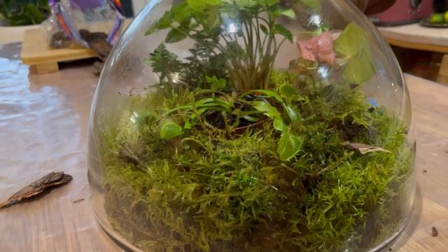 Кусочек лета осенью. #4 смотреть онлайн