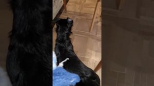соседи делают ремонт