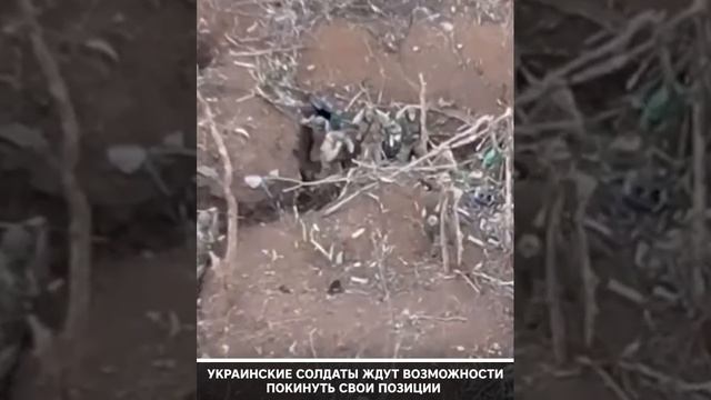 Украинский солдат рассказал о превосходстве российской армии