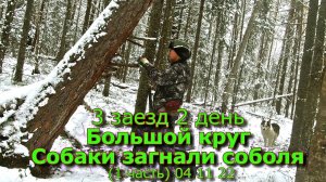 3 заезд 2 день Большой круг Собаки загнали соболя (1 часть) 04 11 22