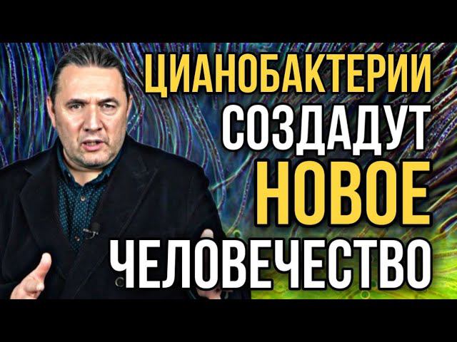 Максим Шингаркин: «Цианобактерии создадут новое человечество».