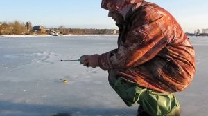 Рыбинское водохранилище: плотва перволёдка