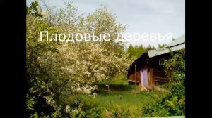 Нижегородская область, Борский район. д. Попово