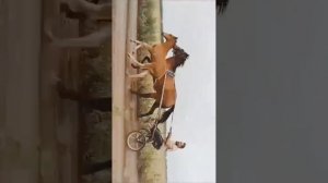 цыганские лошади забара город омск