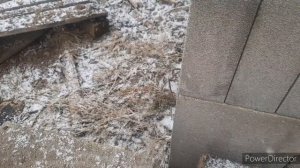 Белый, серый газобетон и пенобетон. В чем разница?