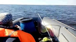 Лодка Флагман 420 на Рыбинском водохранилище
