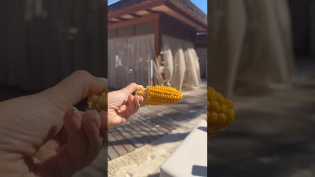 МУНИСА РИЗАЕВА ЭРИ БИЛАН ҚАЕРДА ТАНИШДИ 2023