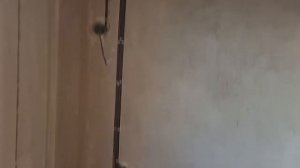 Электромонтаж в новостройке. Рабочий процесс.