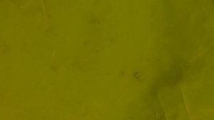 Отключилась аэрация в мороз! Что будет с осетром  в своём пруду без кислорода?Бестер в своём  пруду