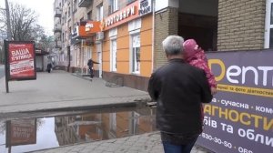 Ищем питомца на миллион