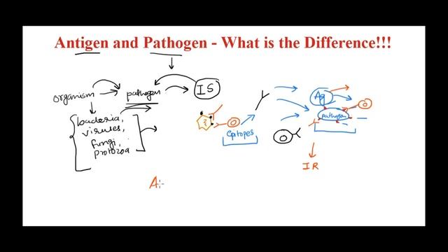 Antigen and Pathogen – What is the Difference? смотреть онлайн
