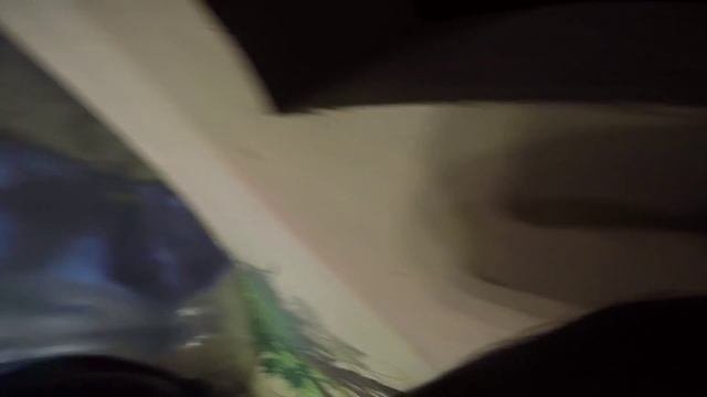 Обезьяна с гранатой? Обезьяна с камерой GoPro!