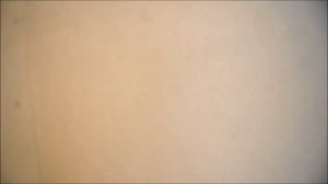 "Полы-21 Века" Сухая стяжка, сухая стяжка отзыв