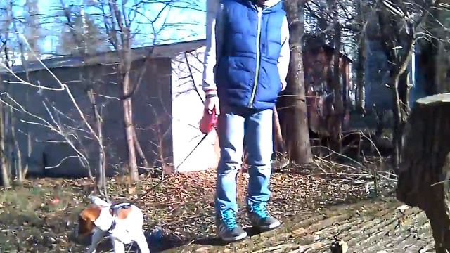 Испытания собак 1 часть , с дюком смотреть онлайн