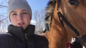 ЧТО С ЦЫПЛЯТАМИ, ПОРОСЯТАМИ И ЖЕРЕБЕНКОМ КОТОРОГО ОТНЯЛИ ОТ МАТЕРИ НА МОЛОДОЙ ФЕРМЕ. ПРОШЛА НЕДЕЛЯ
