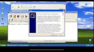 Выживание под Windows XP в 2022 году