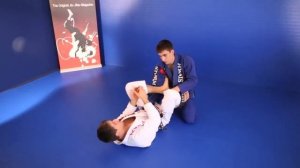 Exclusivo: Seminário de Jiu-Jitsu com Rafael  e Guilherme Mendes