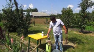Борьба с сорняками с помощью гербицидов