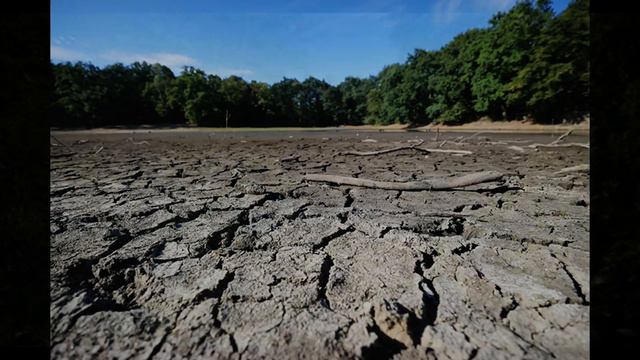 Из-за жары впервые пересох исток Темзы смотреть онлайн