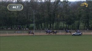 1-я Скачка. Приз в честь 199-летия станицы Павловской. Павловский ипподром 02.10.2021