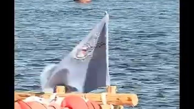Кругосветное путешествие.flv