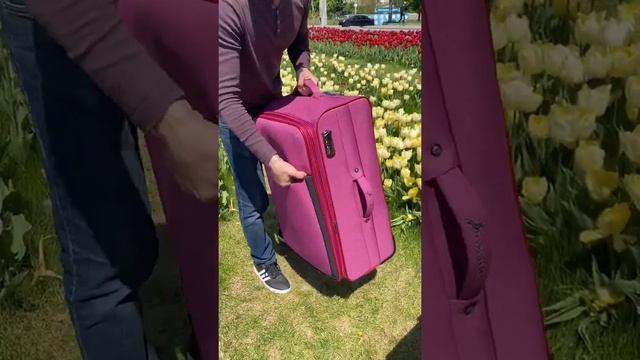 Обзор дорожного чемодана Golden Horse на 2 х колесах #рек #топ #чемодан #розовый #купитьчемодан смотреть онлайн
