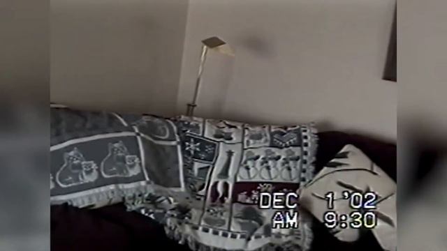 Подборка приколов с животными / Смешные кошки и собаки / Смешные животные / Видео с котиками смотреть онлайн