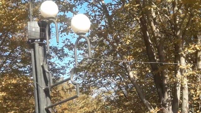 Кривой Рог Вальс звучит в осеннем Кривой Рог