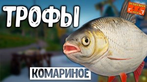 РР4/ рыбалка для души, ловим как универсал, общаемся 24.01.24