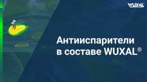Свойства Вуксал - антииспарители