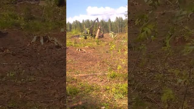 Баобаб который за..ал смотреть онлайн