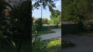 Где поставить ловушку для пчёл.Пасека с нуля.Ловля роёв.