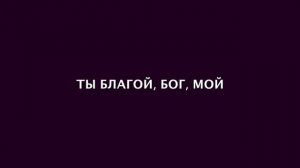 Елиза Дириенко - Ты Царь в сердце моем(cover)